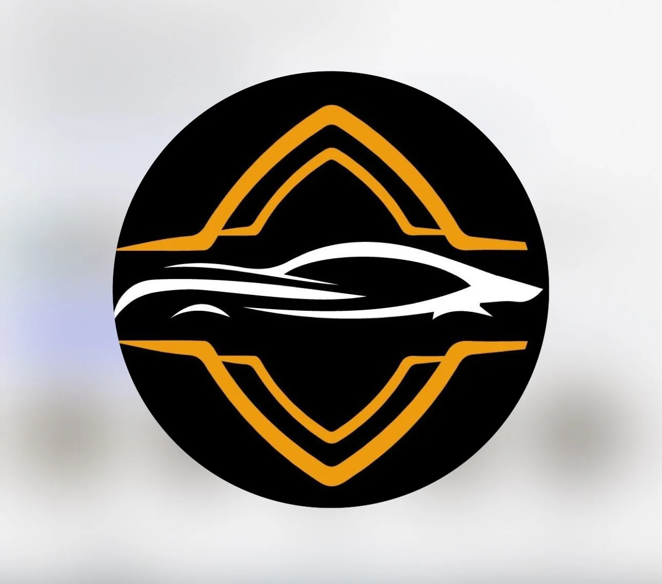 ACR Car Rental